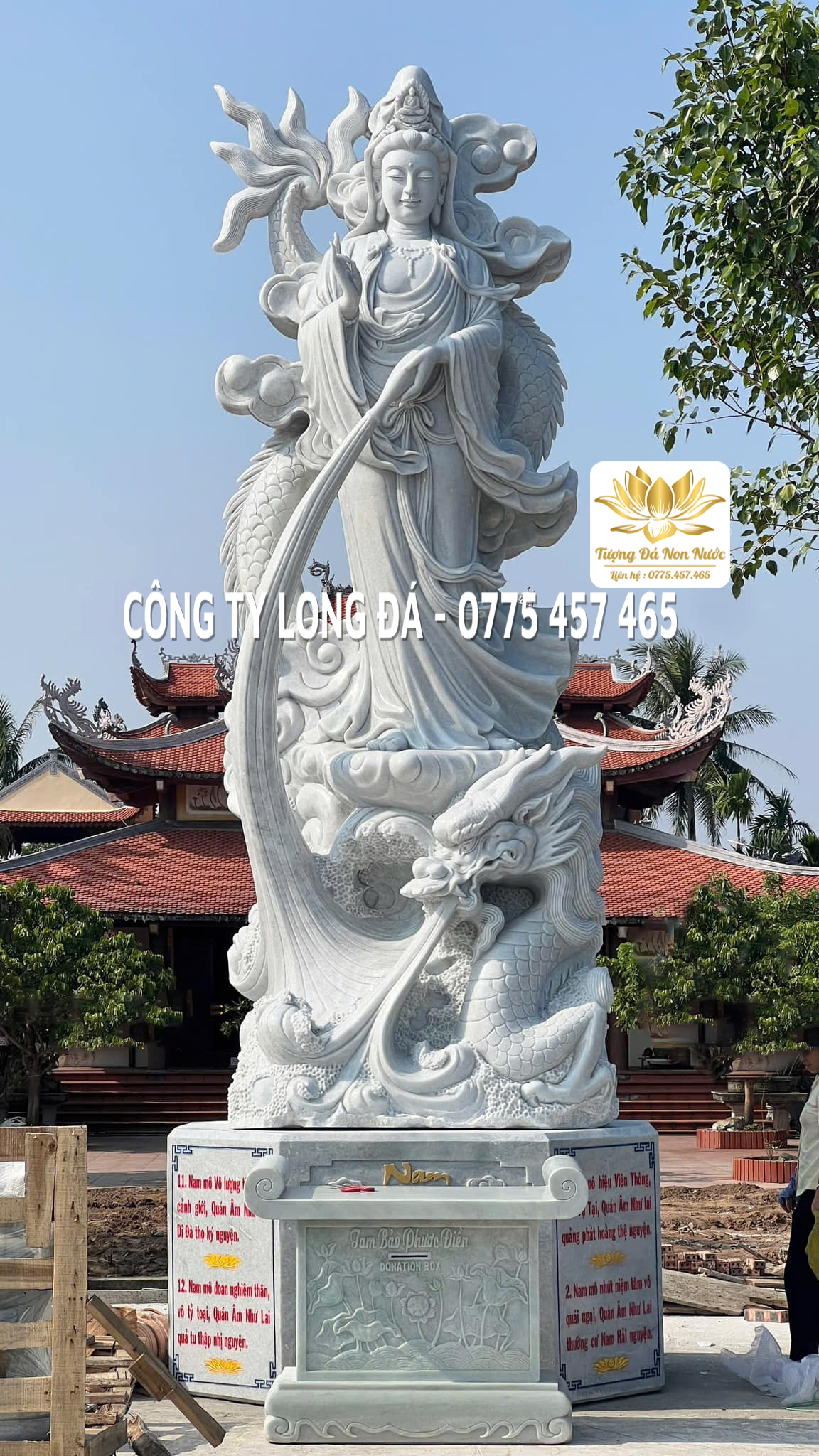 260325 (603) 260325 (603)