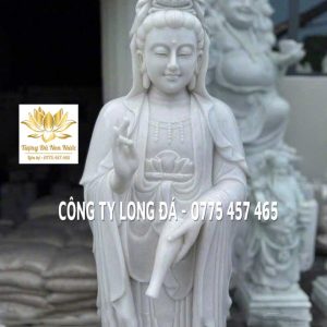 8a50b649 eeb4 4091 84df 760f81f2d8e1